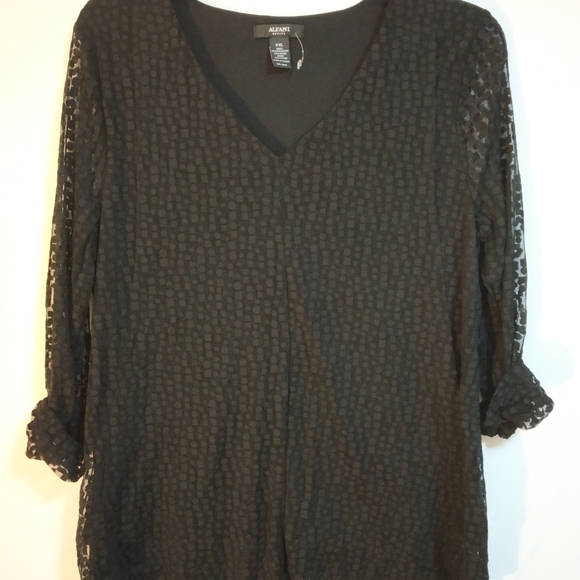 Alfani - Picture 5 of 6